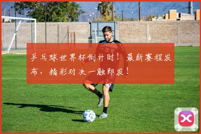 乒乓球世界杯倒计时!最新赛程发布,精彩对决一触即发!