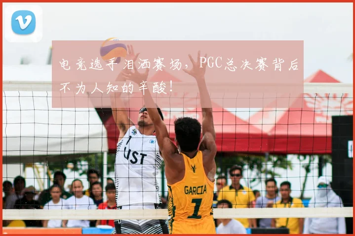 电竞选手泪洒赛场，PGC总决赛背后不为人知的辛酸！